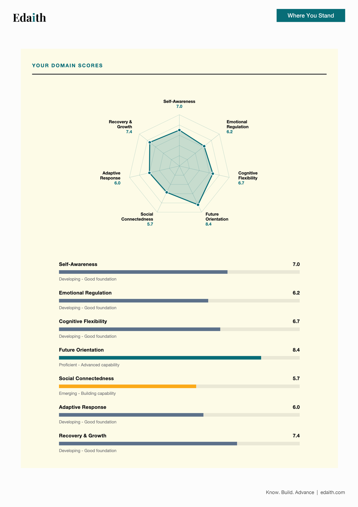Adaptive Resilience & Agility Capability Profile