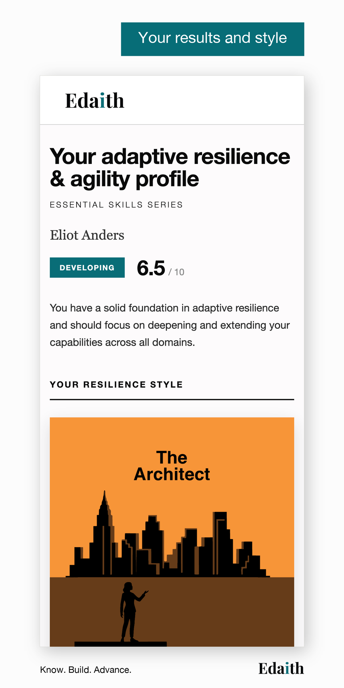 Your results and style: your level and score, and your resilience style, The Architect