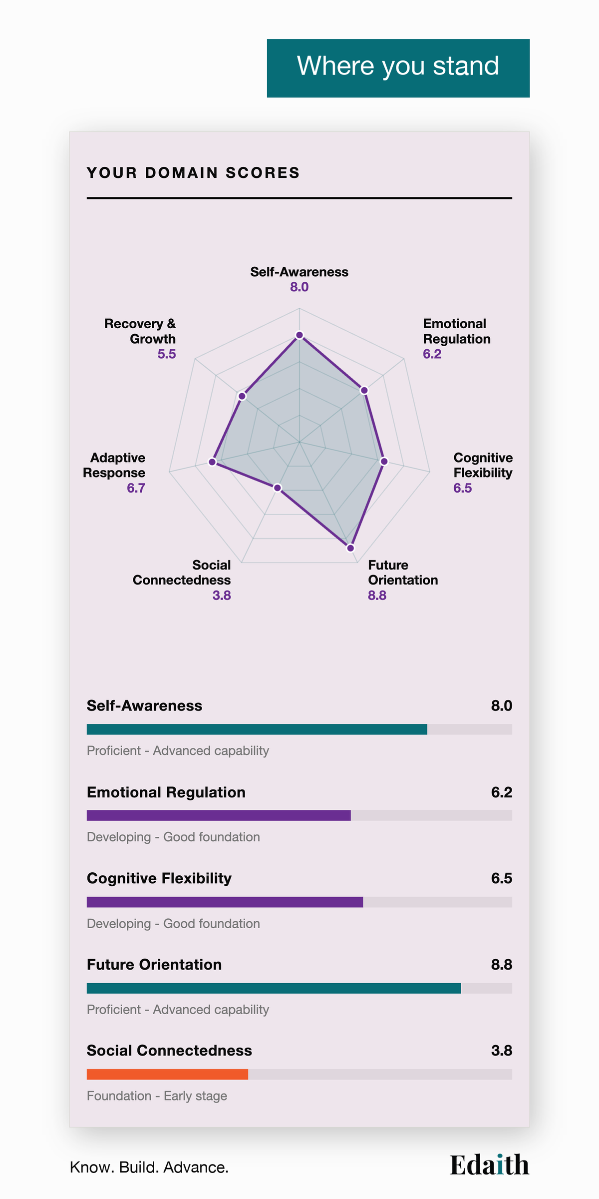 Where you stand: your seven resilience domains scored, as a radar chart and as bars